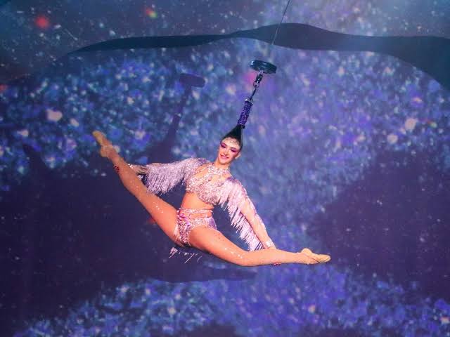 Cirque Musica Holiday Wonderland live in concert